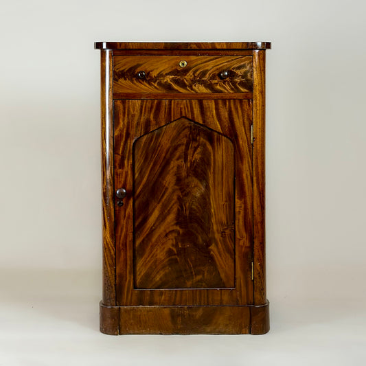 Antique Regency Mahogany Cupboard